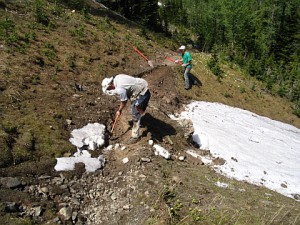 Cutting new trail bed
