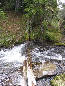 The Old Bridge across the Oldman River