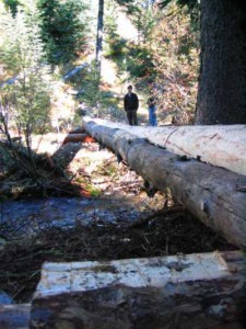 New bridge across Baril Creek