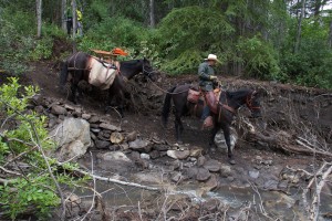 New trail at Mud Creek