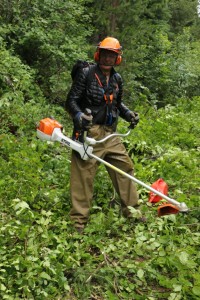 Ready to tackle the alder