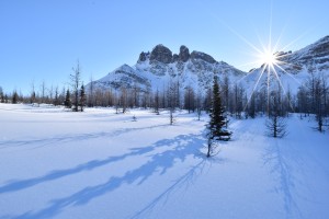 Pristine Winter Wonderland