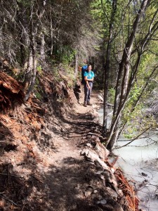 Restored trail next to the Blaeberry River