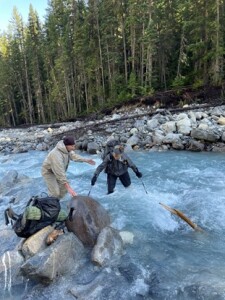 Lynnie Crossing Collie Creek