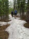 Spring 2023 Trail and Road Conditions