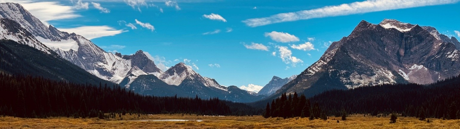 banff meadow, snowy mountain peaks