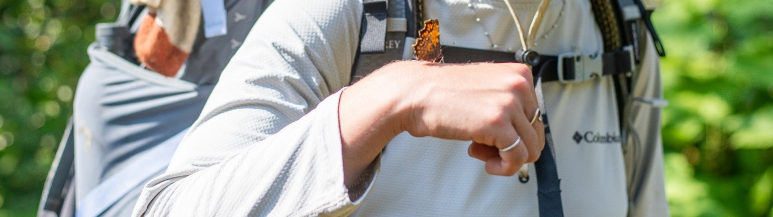 a butterfly on a hikers hand