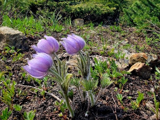 A Huge Thank You for an Incredible Trail Supporter Campaign 