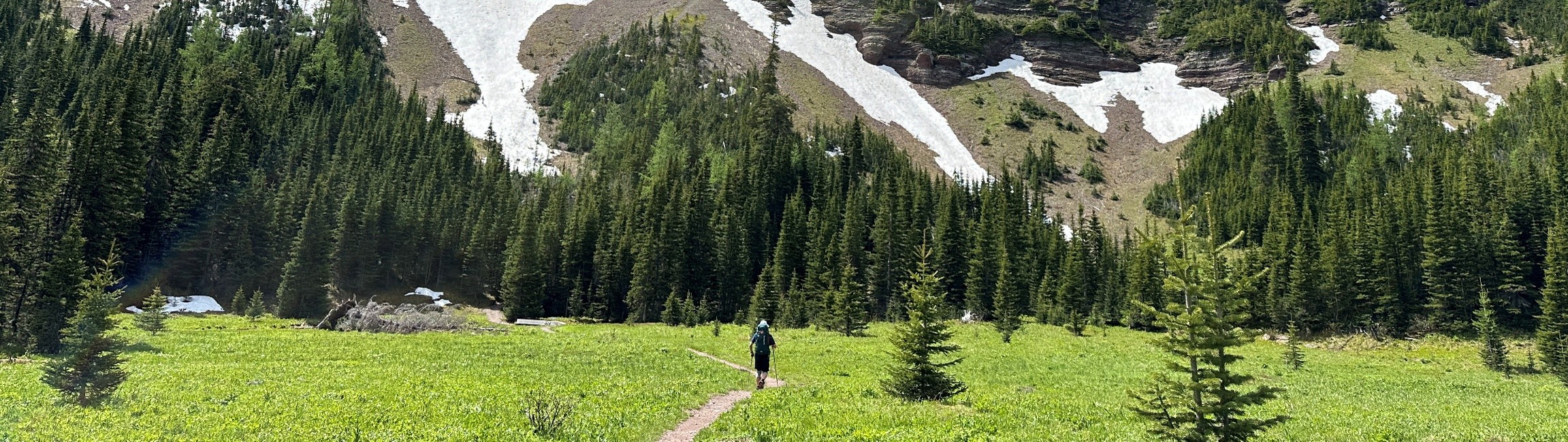 bottom of lineham ridge in Section A