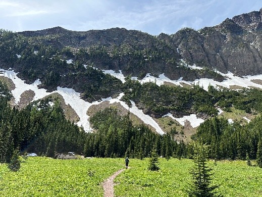 bottom of lineham ridge in Section A