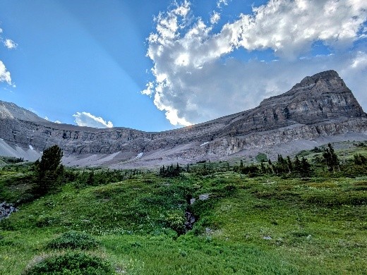 beehive in Section B