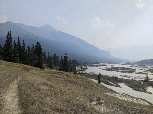 howse floodplain in section D