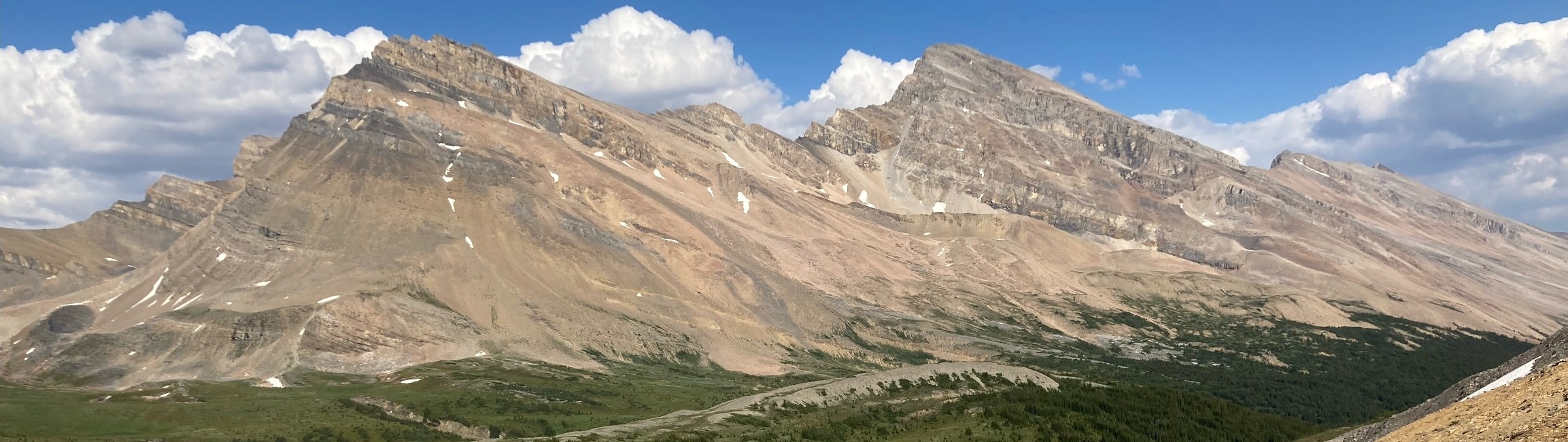 jonas pass in section e