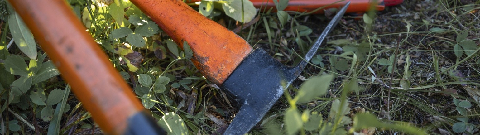 Tools laying in the grass