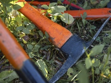 Tools laying in the grass