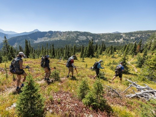 A trail of hikers walking through an alpine meadow