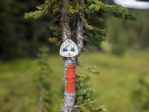 Calling all Volunteers